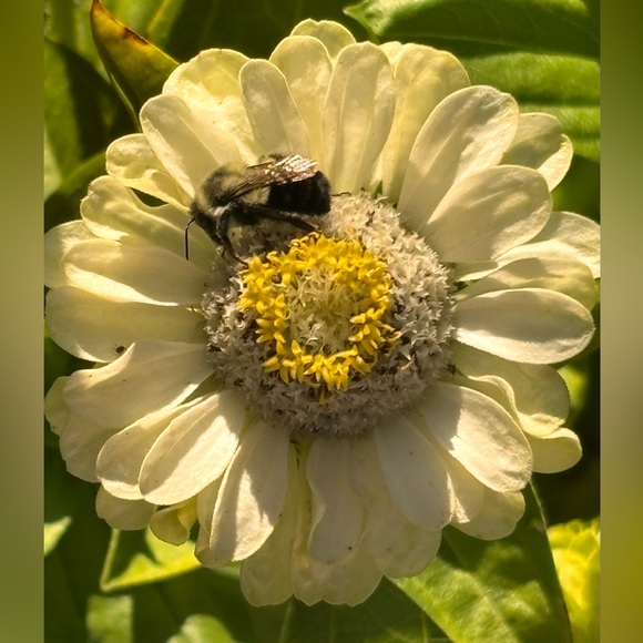 🩵 Like & Bundle 🩵 - Picture 3 of 3